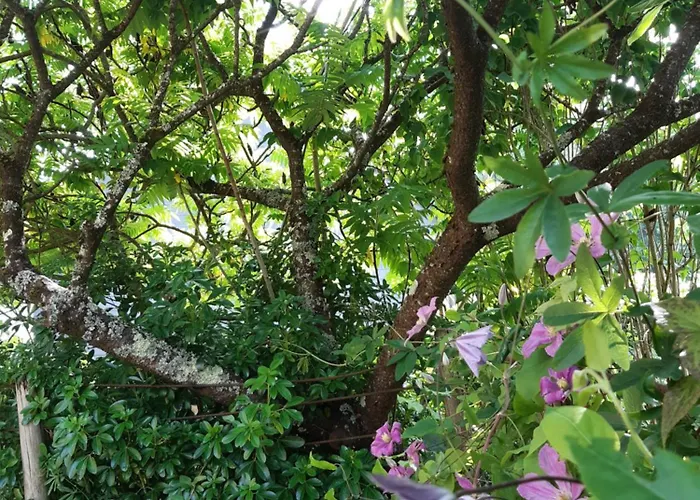 Casa vacanze La Maison Paisible